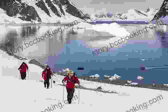 A Group Of People Hiking On A Glacier In Antarctica Artful Argentina And Awesome Antarctica