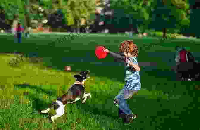 A Happy Dog Playing Fetch In A Park What To Know Before You Get Your Dog (What To Know Before 1)