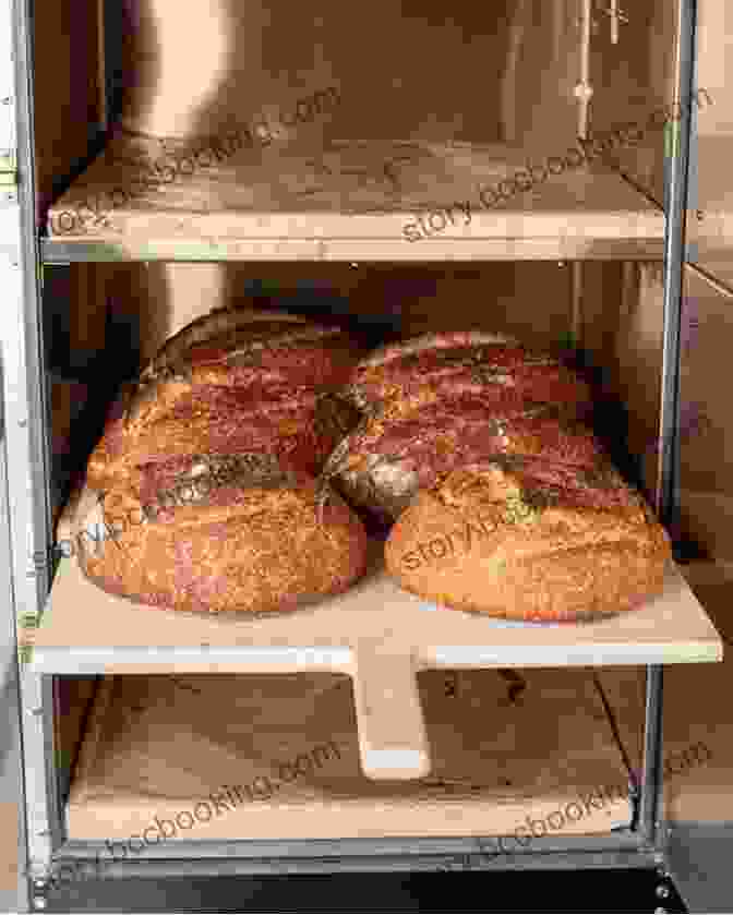 A Loaf Of Bread Baking In An Oven THE BREAD MACHINE COOKBOOK FOR BEGINNERS: How To Have Fresh And Fragrant Bread Every Day 200+ Easy Recipes To Make Tasty Homemade Loaves And Snacks And A Master Baker Even If You Are A Beginne