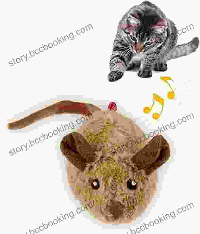 A Playful Kitten Engaging In A Game With A Toy Mouse The Cat Encyclopedia For Kids (Capstone Young Readers)
