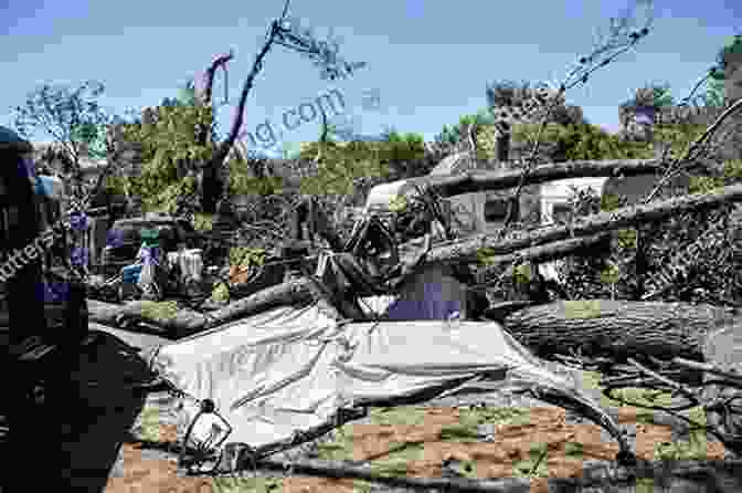 A Scene From The Turtle Mountain Disaster, Showing Fallen Trees And Damaged Tents. Terror At Turtle Mountain (Disaster Strikes 1)