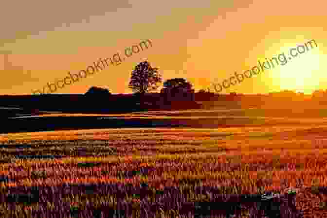 A Sunset Over A Farm Field Children Of The Land: A Memoir