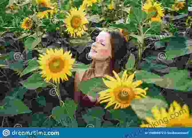 A Woman Sits Amidst A Field Of Sunflowers, Lost In The Pages Of 'Reflections Of Sunflowers.' Reflections Of Sunflowers (The Sunflowers Trilogy 3)
