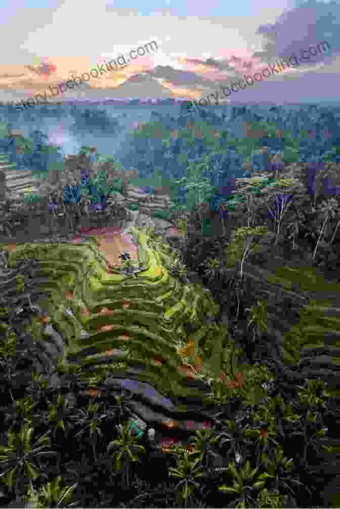 Aerial View Of The Rice Terraces In Bali, With Their Intricate Patterns And Lush Greenery ADVENTURE TRAVEL: 303 FULL COLOUR PHOTOS KENYA UGANDA CHILE ARGENTINA INDONESIA MYANMAR PANAMA BIRDING ALL IN A TINY TENT