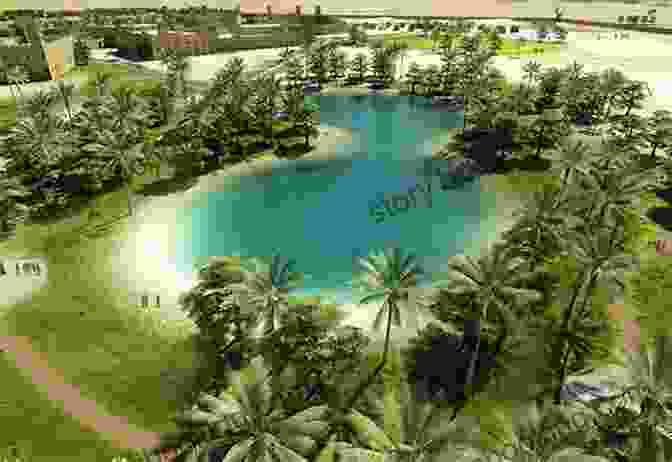 Al Ain Oasis In Abu Dhabi Lonely Planet Pocket Abu Dhabi (Travel Guide)
