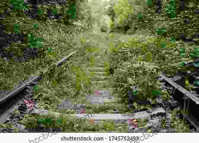 An Abandoned Railroad Track Winding Through A Dense Forest, Overgrown With Weeds And Vegetation Haunted Rail Trails Train Tracks: Forgotten Pathways