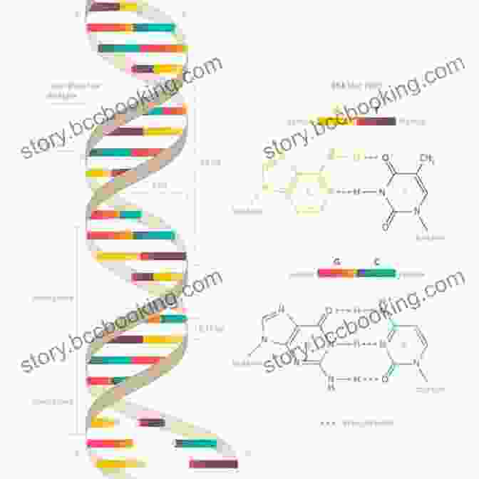 Close Up Of A DNA Molecule, Revealing Its Double Helix Structure Introducing Science Through Images: Cases Of Visual Popularization (Studies In Rhetoric Communication)