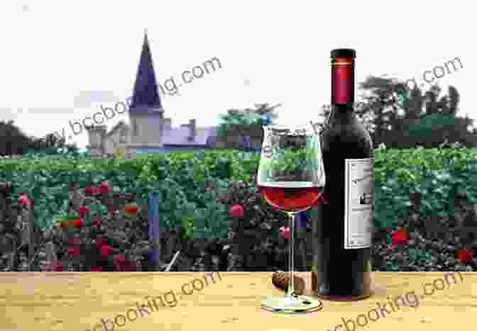 Delicious Food And Wine In Bordeaux, France Lonely Planet Pocket Bordeaux (Travel Guide)