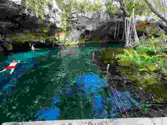 Gran Cenote, A Mystical Natural Swimming Pool In Yucatan Uniquely Yucatan Maryetta Ackenbom