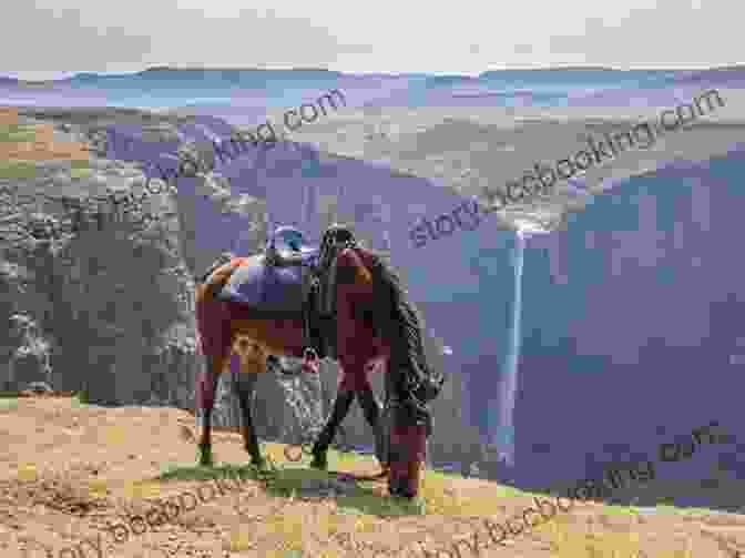 Horse Trekking In Lesotho Lonely Planet South Africa Lesotho Swaziland (Travel Guide)