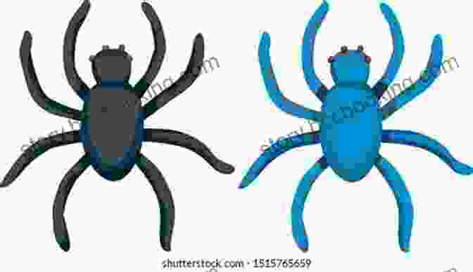 Illustration Of A Spider With Eight Legs Why The Spider Has Eight Legs And Other African Tales: African Bed Stories For Kids