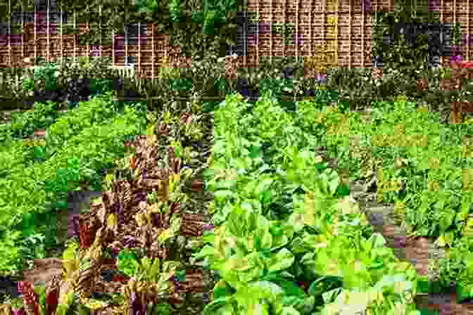 Image Of A Verdant Vegetable Garden The Supreme Self Sufficiency Handbook: A Total Guide To Baking Crafts Gardening Protecting Your Harvest Raising Animals As Well As Even More
