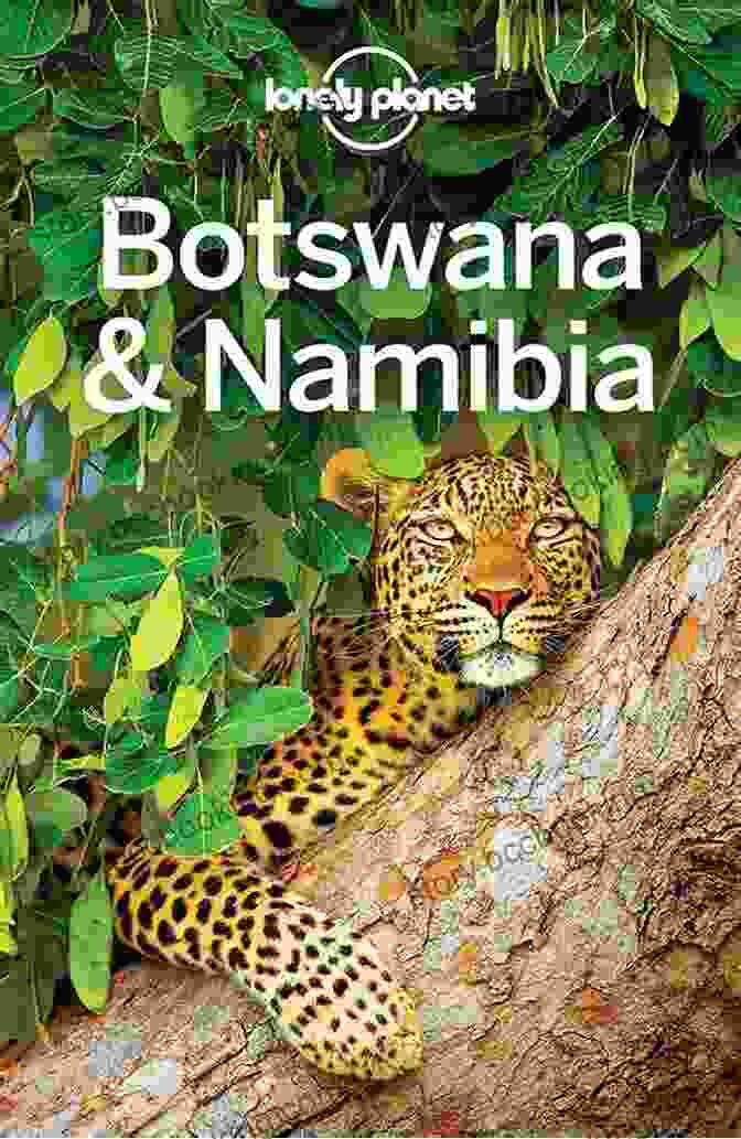 Lonely Planet Botswana Namibia Travel Guide Cover Lonely Planet Botswana Namibia (Travel Guide)