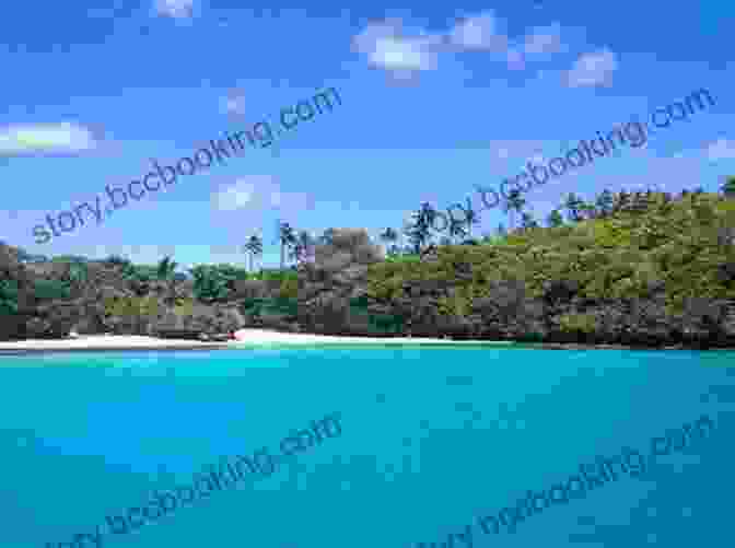 Lush Green Hills And Blue Skies In Tonga With A Small Boat On The Calm Waters Lonely Planet Rarotonga Samoa Tonga (Travel Guide)