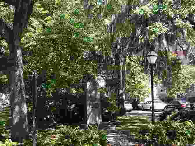 Lush Square In Savannah Lonely Planet Pocket Charleston Savannah (Travel Guide)