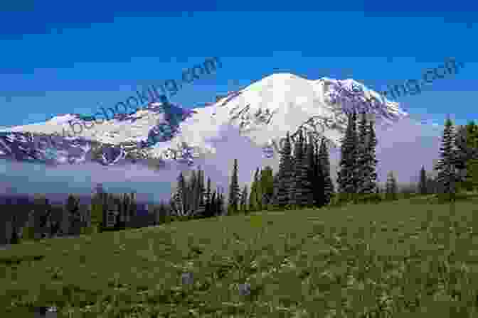 Majestic Mount Rainier, A Towering Icon In The Heart Of The Pacific Northwest Lonely Planet Washington Oregon The Pacific Northwest (Travel Guide)