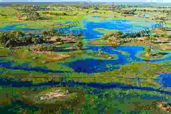 Okavango Delta, Botswana Lonely Planet Southern Africa (Travel Guide)