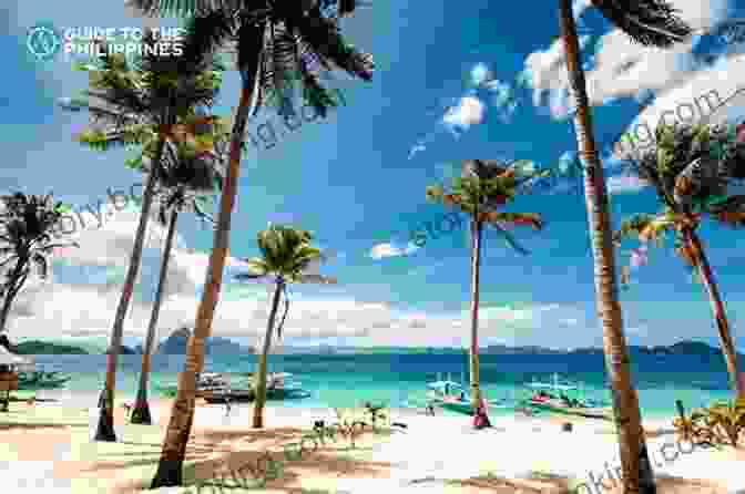 Panoramic View Of Stunning Palawan Beaches With Turquoise Waters And Lush Greenery Lonely Planet Philippines (Travel Guide)