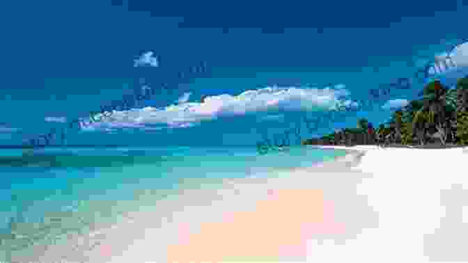 Punta Cana Beach, Dominican Republic Dominican Republic Travel Guide With 100 Landscape Photos