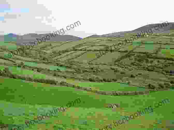 Rolling Green Hills Of Ireland IRELAND FOR TRAVELERS The Total Guide: The Comprehensive Traveling Guide For All Your Traveling Needs By THE TOTAL TRAVEL GUIDE COMPANY (EUROPE FOR TRAVELERS)