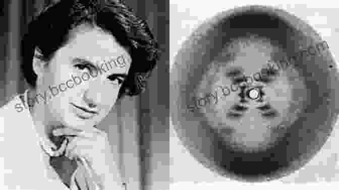 Rosalind Franklin, Whose X Ray Diffraction Images Were Crucial For Understanding The Structure Of DNA Women In STEM : Amazing Women Who Changed Science And The World Pioneers In Science Technology Engineering And Math (STEM)