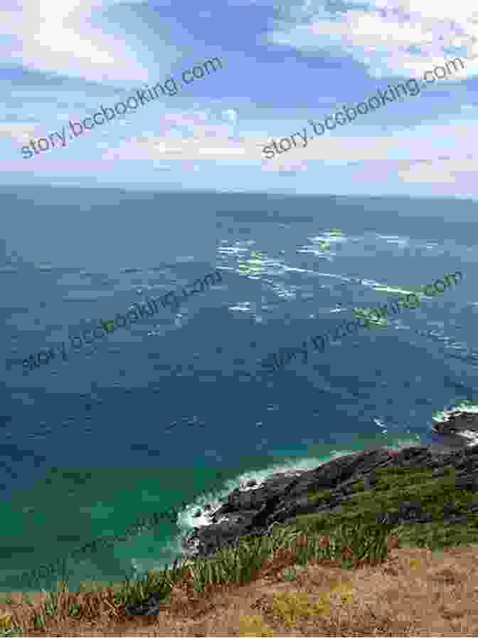 Spectacular View Of Cape Reinga, Where Two Oceans Meet Lonely Planet Auckland Bay Of Islands Road Trips (Travel Guide)