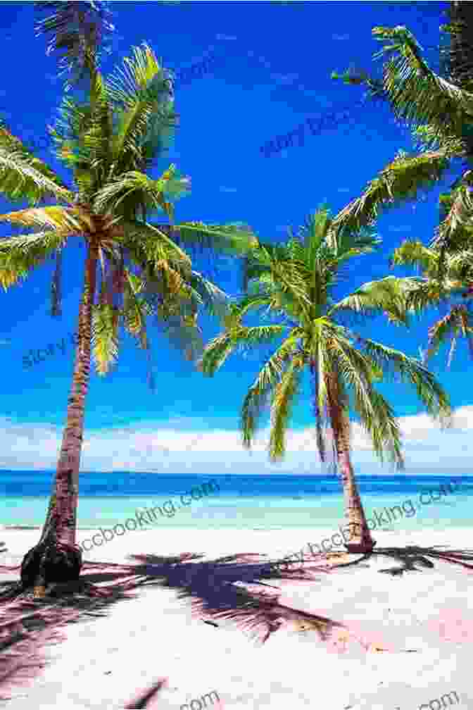 Stunning Beach On Rarotonga With White Sand, Turquoise Waters, And Palm Trees Lonely Planet Rarotonga Samoa Tonga (Travel Guide)