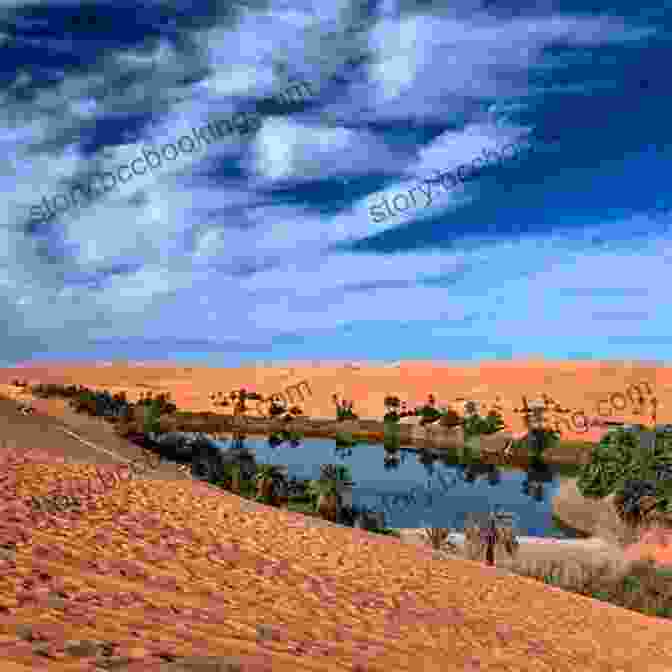 The Lush Oasis Of Ha'il A Traveller S Guide To Saudi Arabia: Jeddah Riyadh Al Ula Mada In Salih Ha Il Jubbah Al Jawf Tabuk Tayma Khaybar Taif Abha Najran Layla (African And Middle Eastern Travel Guides 6)