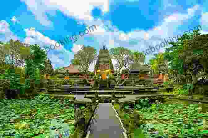 Ubud Rainforest, Bali Lonely Planet Pocket Bali (Travel Guide)