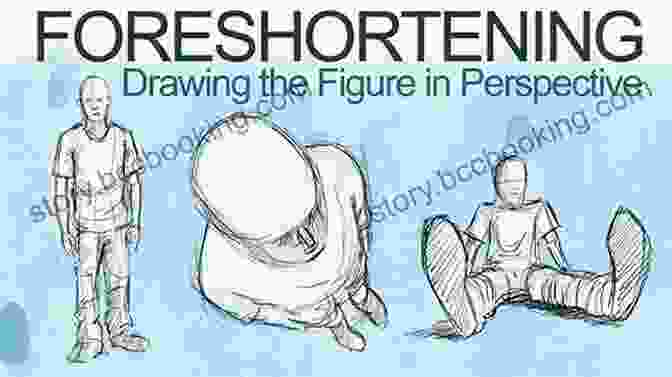 Understanding Perspective And Foreshortening Sketching Birds And Butterflies: Simple Drawing Ideas For Everyone