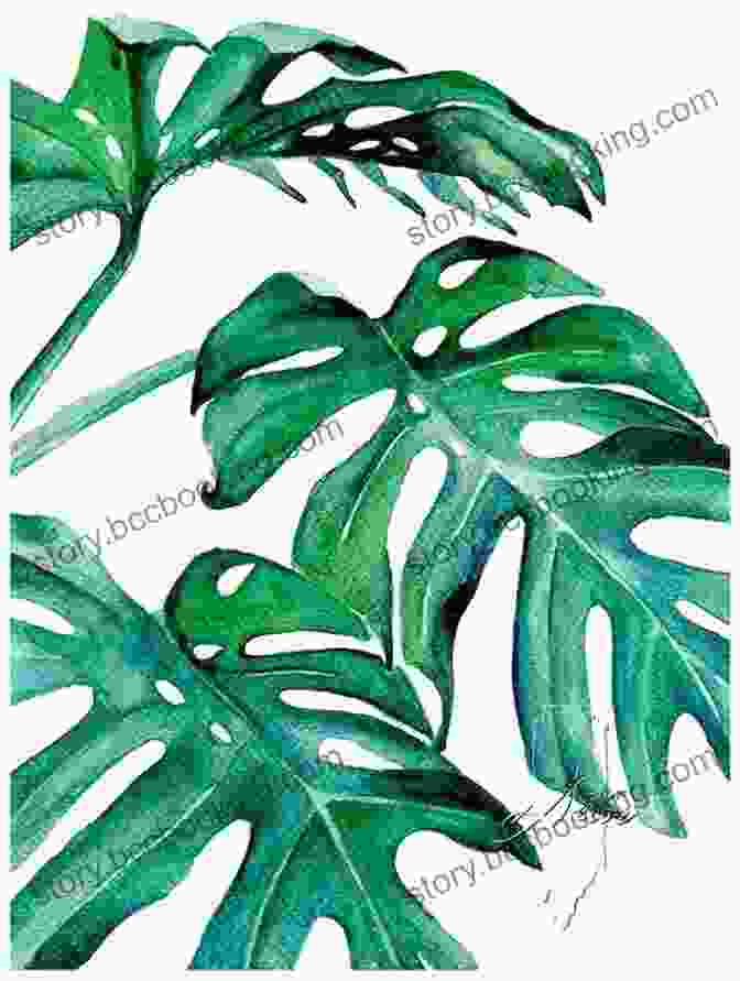 Watercolor Botanical Print Of A Lush Tropical Leaf Watercolor Botanicals: 20 Prints To Paint And Frame