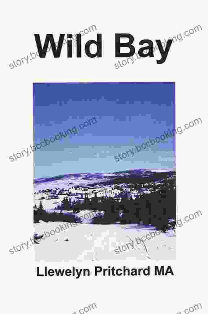 Wild Bay Port Hope Simpson Mysteries Book Cover Wild Bay (Port Hope Simpson Mysteries 6)