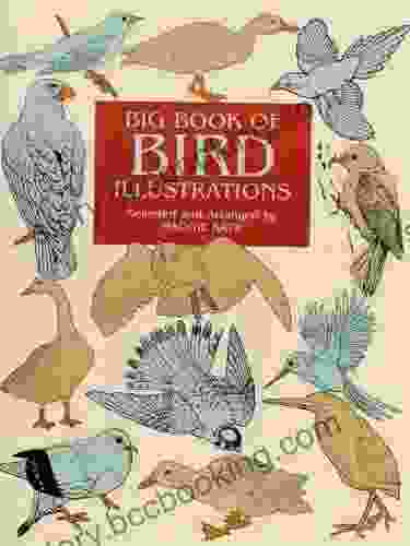 Big Of Bird Illustrations (Dover Pictorial Archive)