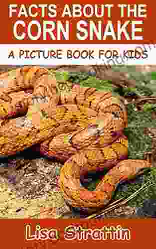 Hello Gecko : Fun Facts About The World S Favorite Lizard An Info Picturebook For Kids (Funny Fauna)