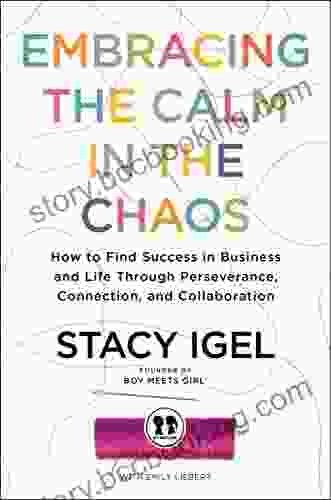 Embracing The Calm In The Chaos: How To Find Success In Business And Life Through Perseverance Connection And Collaboration