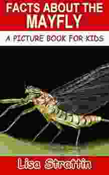 Facts About The Mayfly (A Picture For Kids 384)