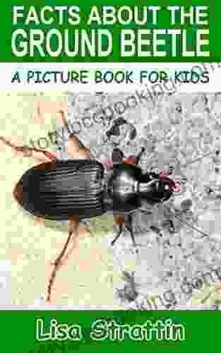 Facts About The Ground Beetle (A Picture For Kids 458)