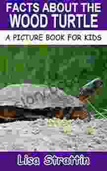 Facts About The Wood Turtle (A Picture For Kids 434)