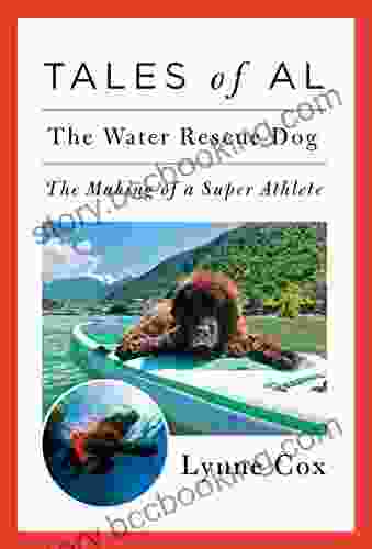 Tales Of Al: The Water Rescue Dog