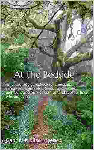 At The Bedside: An End Of Life Guidebook For Clinicians Caregivers Volunteers Friends And Family Members Who Provide Comfort And Care To Those Who Are Dying