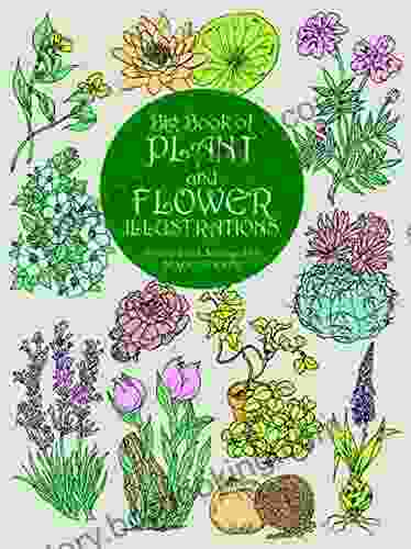 Big Of Plant And Flower Illustrations (Dover Pictorial Archive)