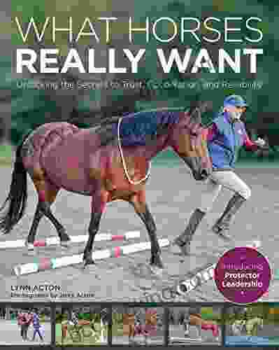 What Horses Really Want: Unlocking The Secrets To Trust Cooperation And Reliability