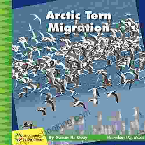 Arctic Tern Migration (21st Century Junior Library: Marvelous Migrations)