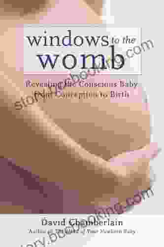 Windows To The Womb: Revealing The Conscious Baby From Conception To Birth